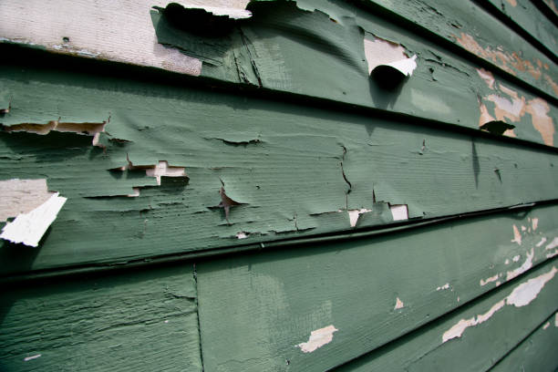 Best Shed Removal  in Mary Esther, FL